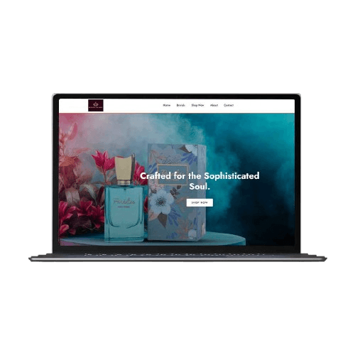 2 11zon removebg preview